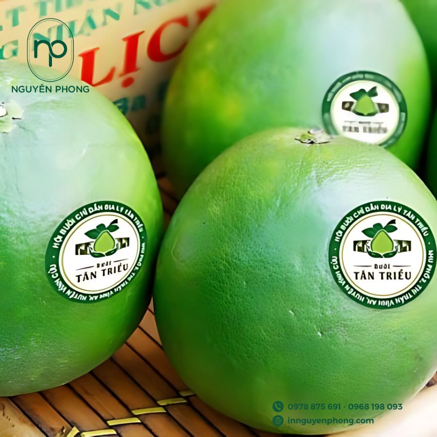 Top-5-cong-ty-in-tem-dan-hoa-qua-trai-cay-tai-TPHCm